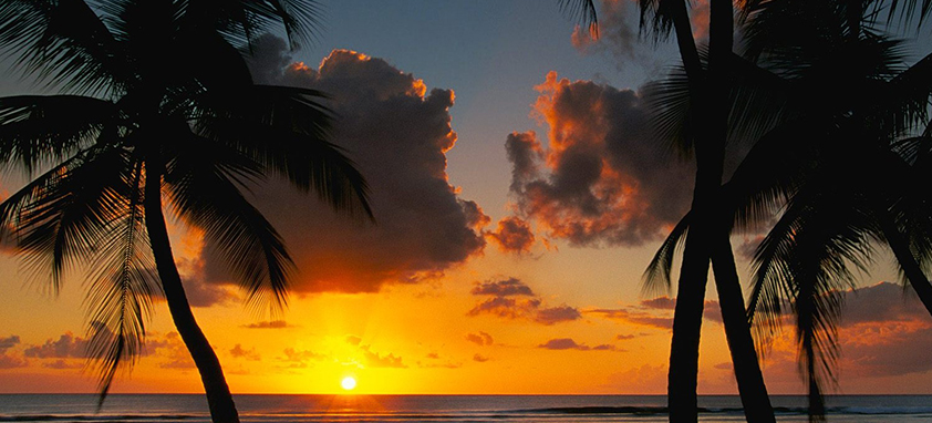 谁能介绍下的在线ddos网页端